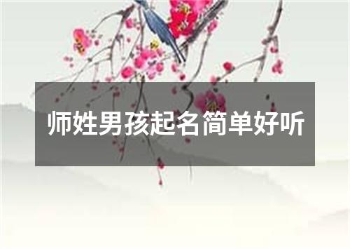 师姓男孩起名简单好听