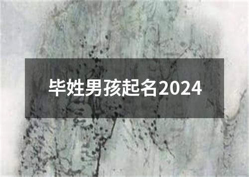 毕姓男孩起名2024