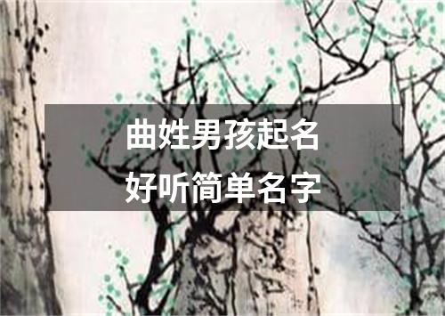 曲姓男孩起名好听简单名字