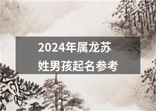 2024年属龙苏姓男孩起名参考