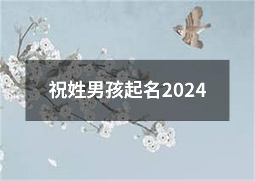 祝姓男孩起名2024