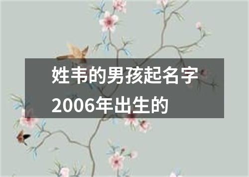 姓韦的男孩起名字2006年出生的