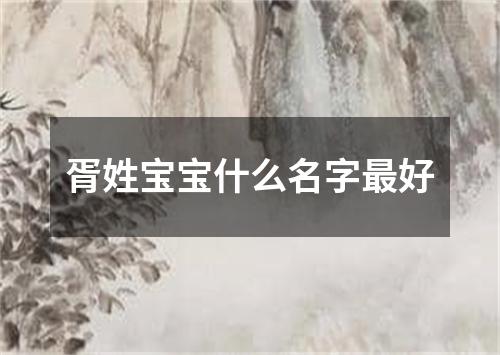 胥姓宝宝什么名字最好