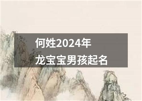 何姓2024年龙宝宝男孩起名