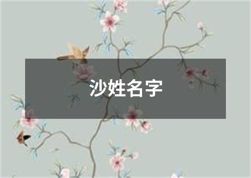 沙姓名字