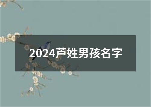 2024芦姓男孩名字