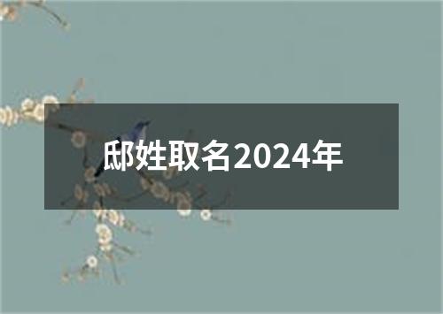 邸姓取名2024年