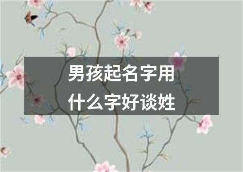 男孩起名字用什么字好谈姓