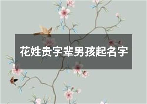 花姓贵字辈男孩起名字