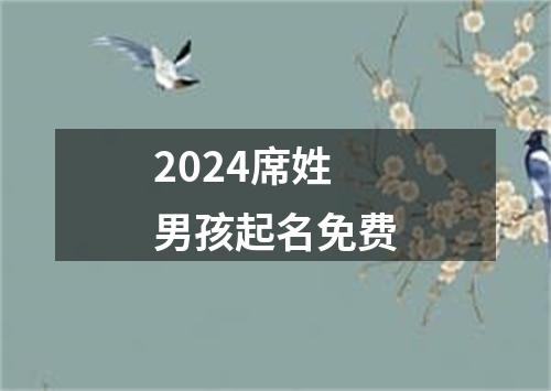 2024席姓男孩起名免费