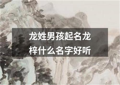 龙姓男孩起名龙梓什么名字好听