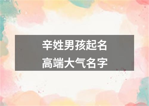 辛姓男孩起名高端大气名字