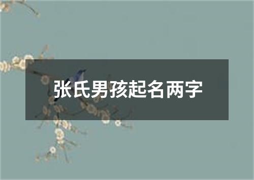 张氏男孩起名两字