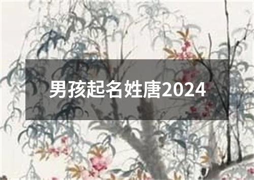 男孩起名姓唐2024