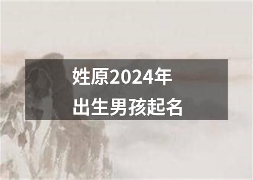 姓原2024年出生男孩起名