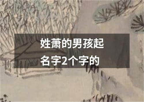 姓萧的男孩起名字2个字的