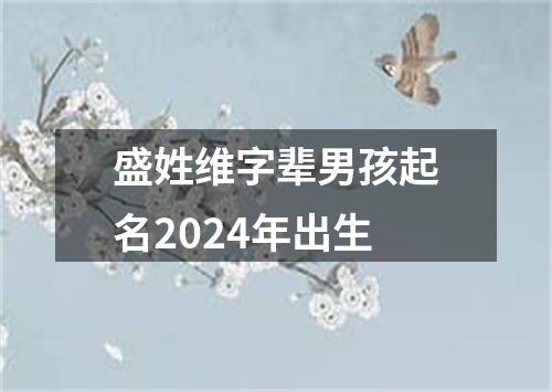 盛姓维字辈男孩起名2024年出生