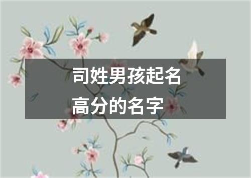 司姓男孩起名高分的名字