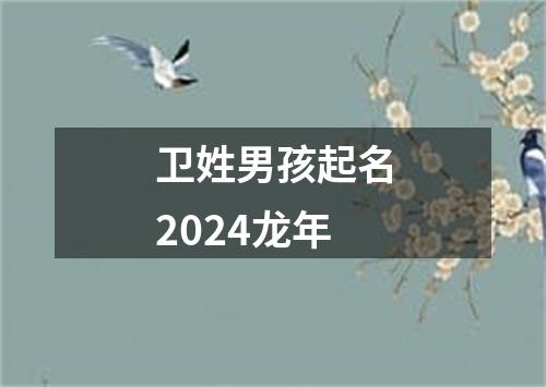 卫姓男孩起名2024龙年