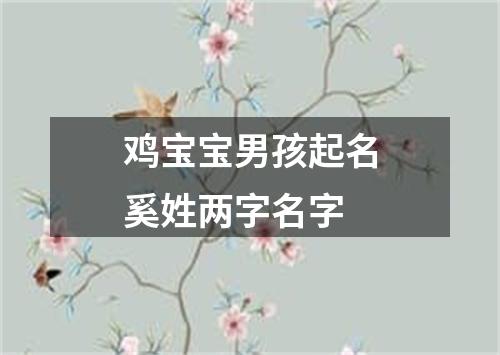 鸡宝宝男孩起名奚姓两字名字