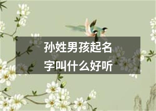 孙姓男孩起名字叫什么好听