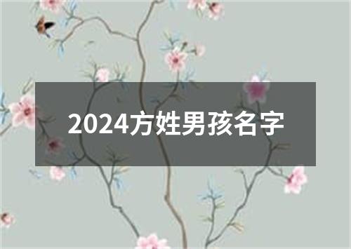 2024方姓男孩名字