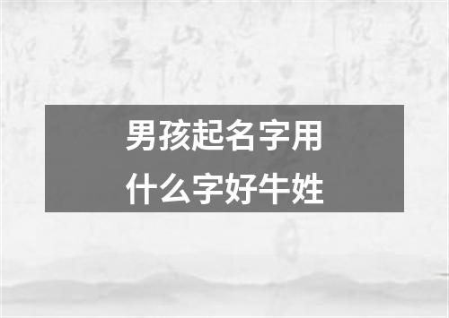 男孩起名字用什么字好牛姓