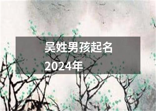 吴姓男孩起名2024年