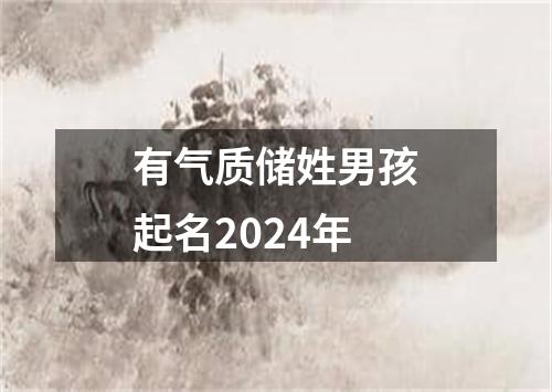 有气质储姓男孩起名2024年