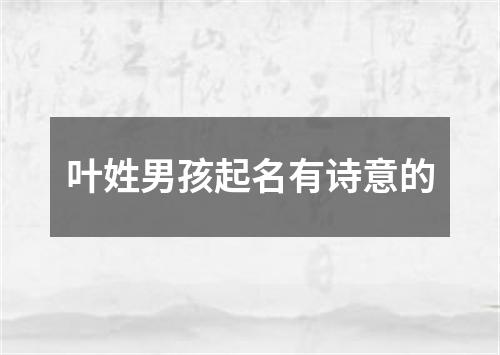 叶姓男孩起名有诗意的