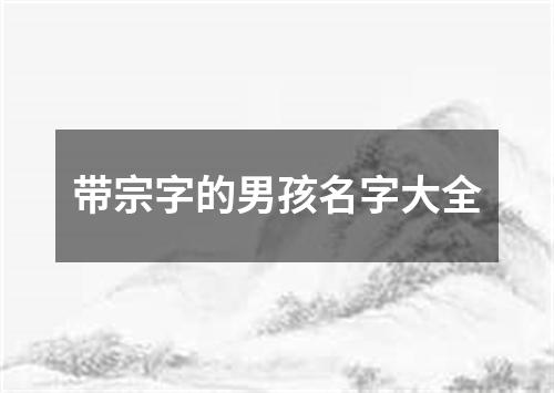 带宗字的男孩名字大全