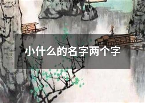 小什么的名字两个字