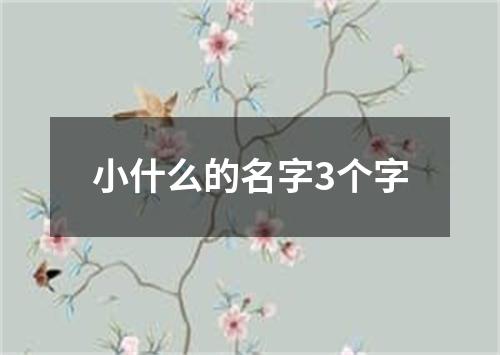 小什么的名字3个字