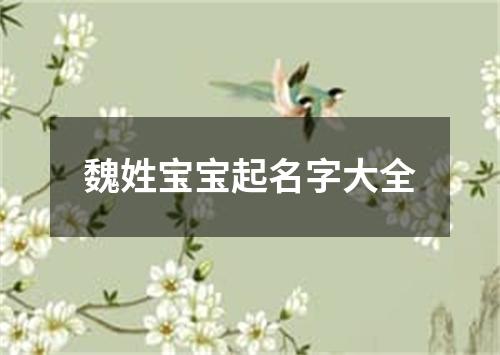 魏姓宝宝起名字大全