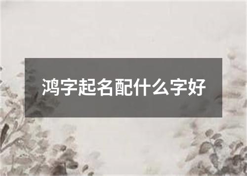 鸿字起名配什么字好