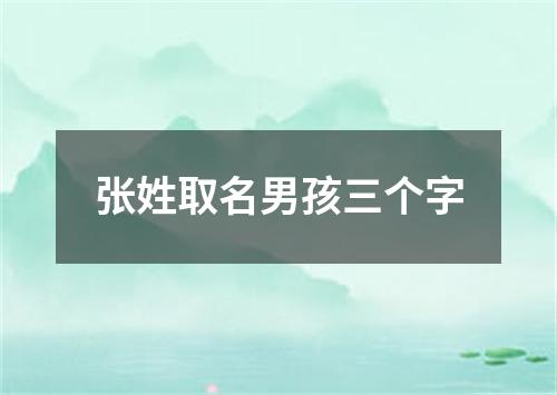 张姓取名男孩三个字