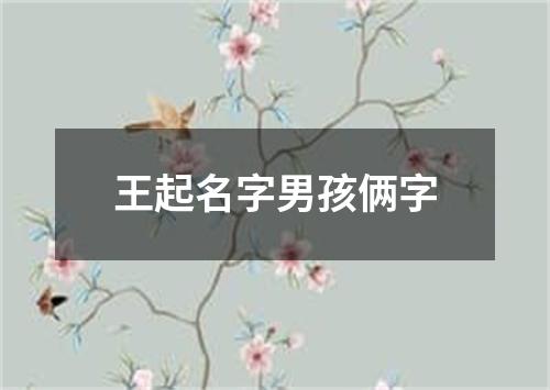 王起名字男孩俩字