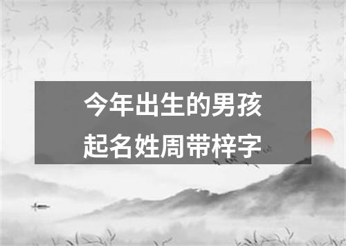 今年出生的男孩起名姓周带梓字