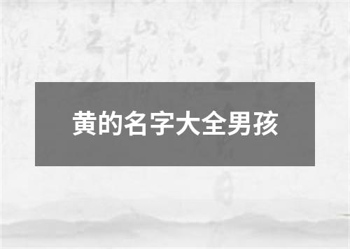 黄的名字大全男孩