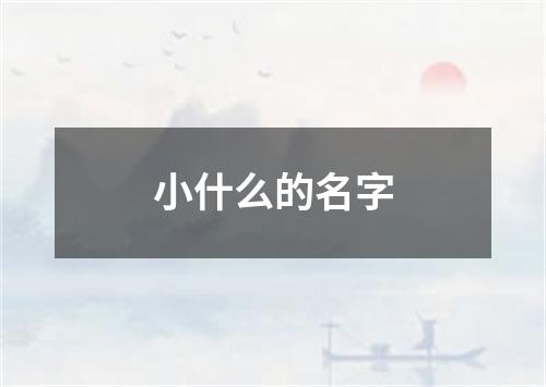 小什么的名字