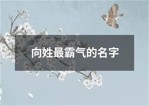 向姓最霸气的名字