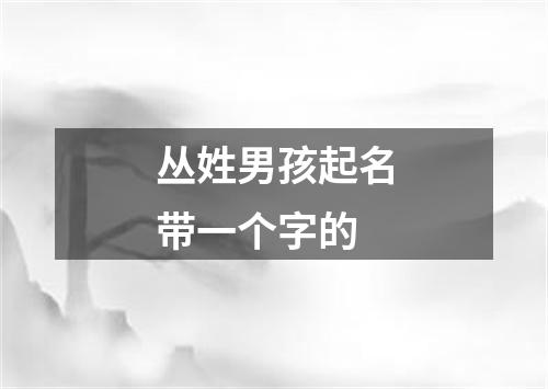 丛姓男孩起名带一个字的