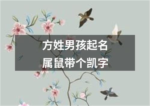 方姓男孩起名属鼠带个凯字