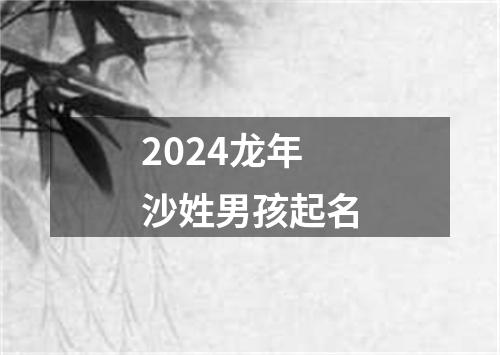 2024龙年沙姓男孩起名