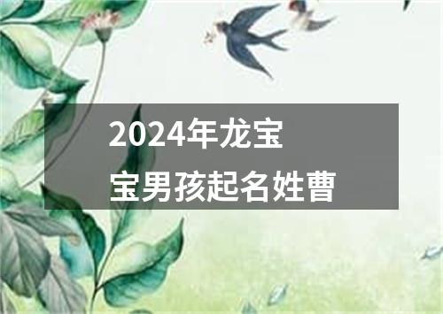 2024年龙宝宝男孩起名姓曹