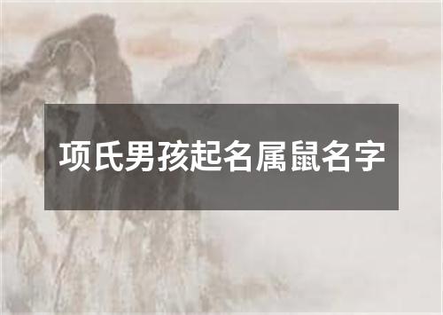 项氏男孩起名属鼠名字