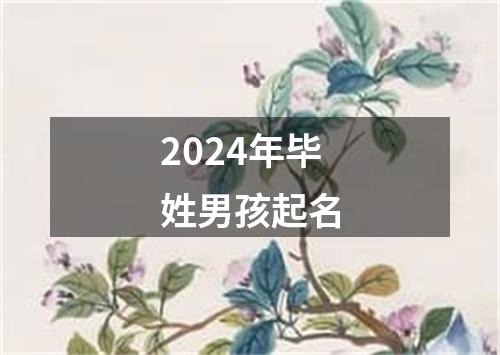 2024年毕姓男孩起名