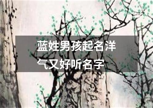 蓝姓男孩起名洋气又好听名字