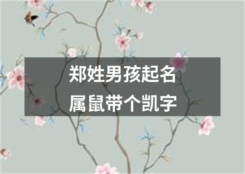 郑姓男孩起名属鼠带个凯字