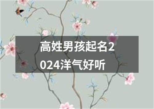 高姓男孩起名2024洋气好听